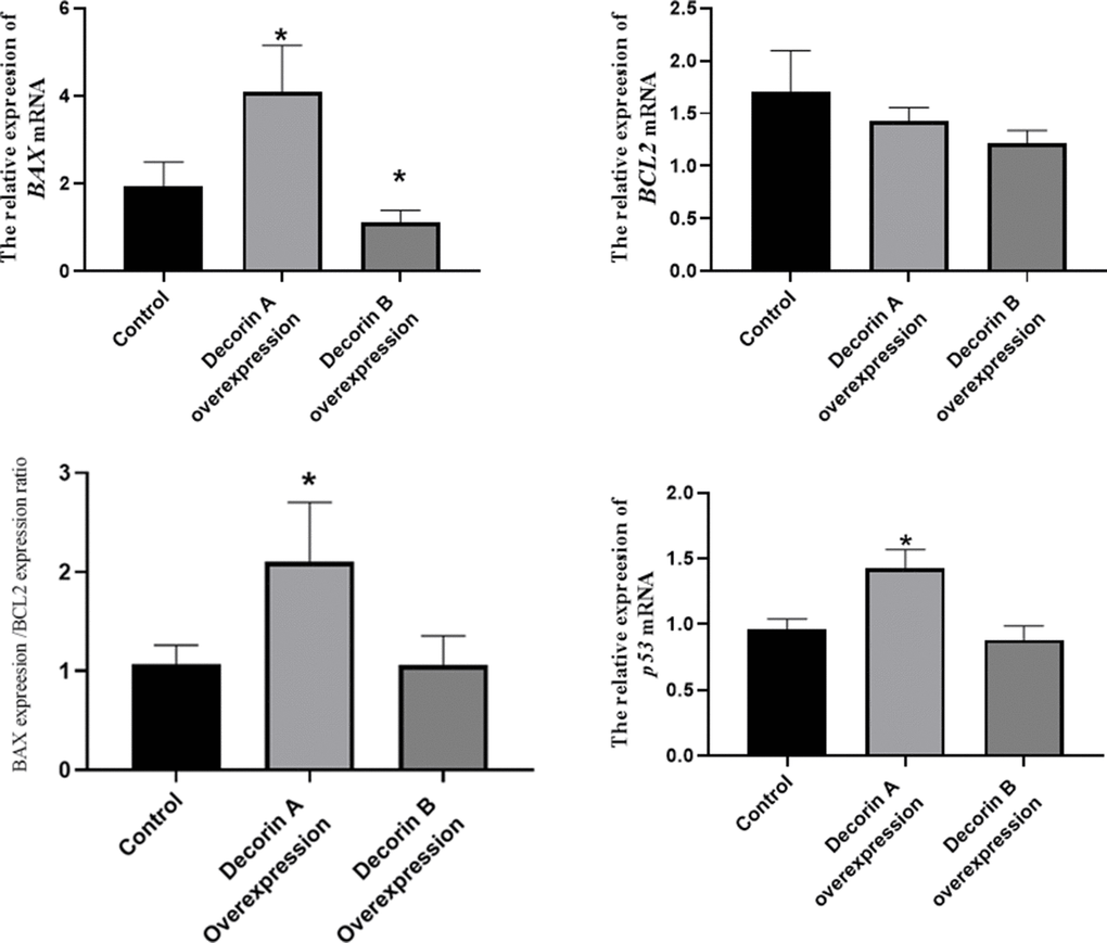 The effect of decorin A and B on the expression of apoptosis-related genes in BxPC-3 cells.