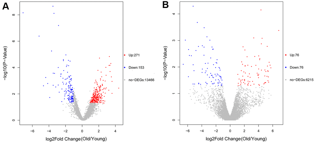 Volcano plot of differentially expressed genes (DEGs) (A) and differentially expressed lncRNAs (DElncRNAs) (B). The red dots represent upregulated genes or lncRNAs and blue dots represent downregulated genes or lncRNAs.
