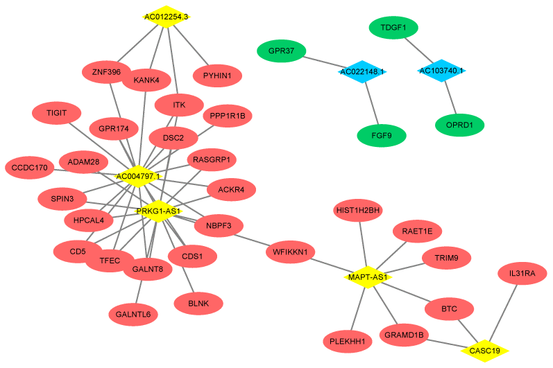 Co-expression network of DEGs and DElncRNAs. The red ellipse represent upregulated gene and the green ellipse represent downregulated gene. The yellow rhombus represents upregulated lncRNA and blue rhombus represents downregulated lncRNA. The lines between the genes and lncRNAs indicate that there is a co-expression relationship between the two.