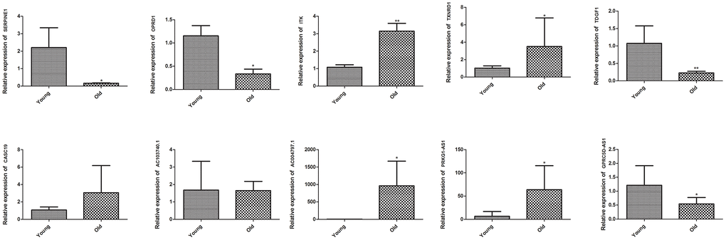 Validation of key DEGs and DElncRNAs by quantitative real-time polymerase chain reaction (qRT-PCR) in skeletal muscle of young group and old group. Difference between young group and old group was analyzed by students’ t test. * P P 