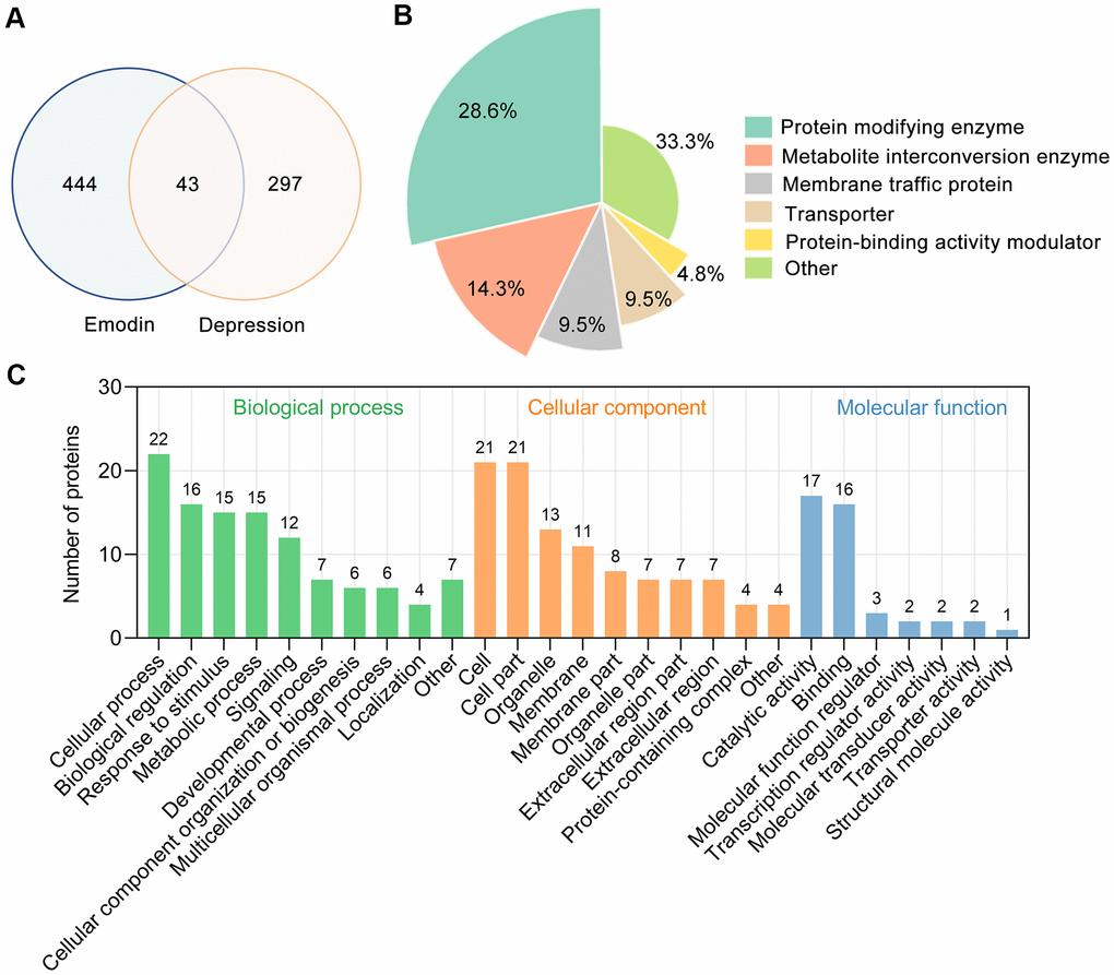 Bioinformatics analysis of target proteins of EMO against depression. (A) Venn diagram was used to determine the intersection between the EMO and depression targets. (B) Panther classification categorized target proteins of EMO against depression. The figures next to the pie chart indicate the percentage of the protein in the given functional class. (C) GO classification of targets of EMO against depression at GO level 2 into 3 categories: biological process, molecular function and cellular component.