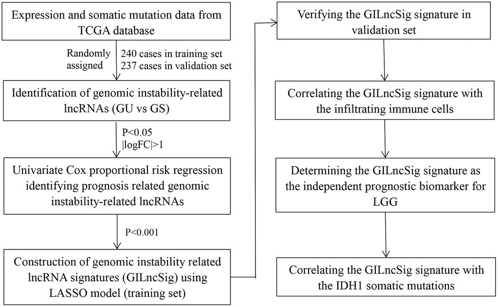 Study flow chart of genomic instability-related lncRNAs construction.