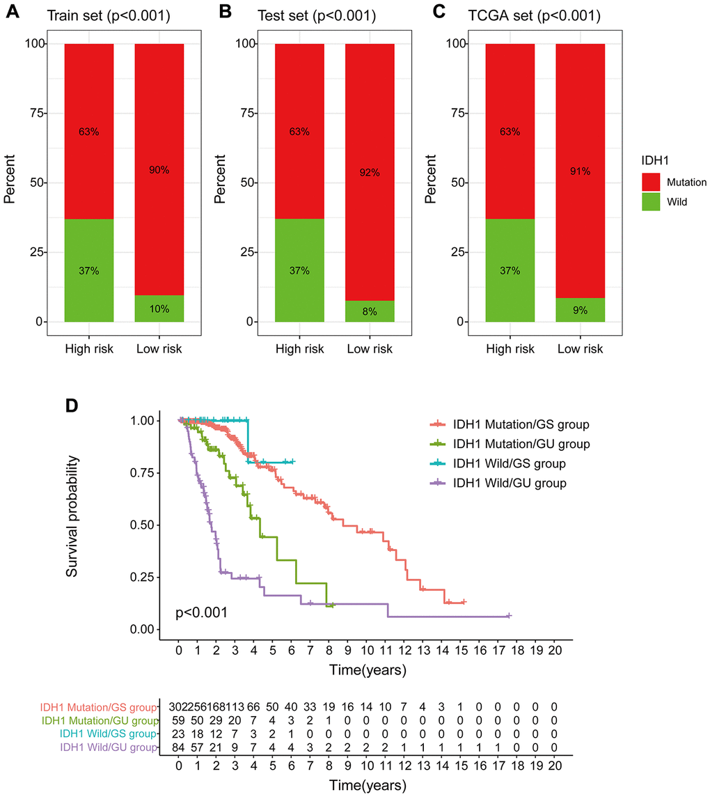 Correlation between GILncSig and IDH1 somatic mutations. (A–C) Proportion of IDH1 mutations in the high- and low-risk groups using the training set, testing set and TCGA set. (D) Kaplan-Meier curve analysis of OS of patients with IDH1 mutant status and wild-type status for the combined GS and GU groups.