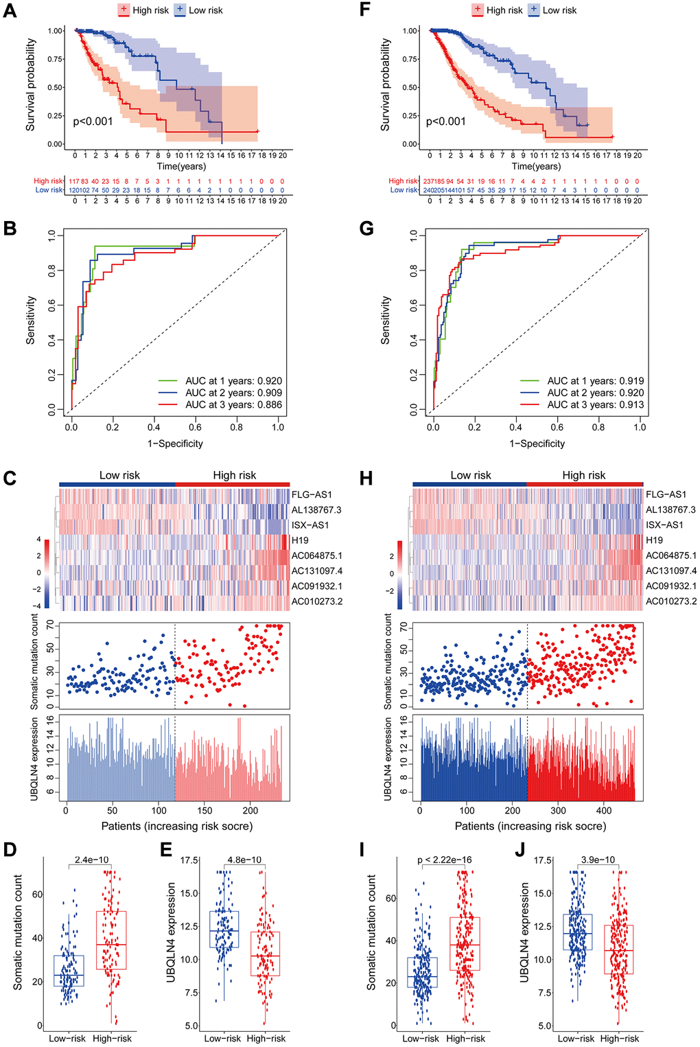 Validation of the lncRNA signature for genomic instability used to predict outcomes in the testing and TCGA set. (A) Validation of overall survival in low- or high-risk patients predicted by pooling GILncSig with Kaplan-Meier estimates. (B) Time-dependent ROC curves of GILncSig at 1, 2 and 3 years in the testing group. (C) Verification of LncRNA expression patterns, the profile of somatic mutations and UBQLN4 expression in patients in low- and high-risk groups. (D–E) Box plots for the distribution of somatic mutations and UBQLN4 expression in high- and low-risk groups of patients. (F–J) Verification of the above results using the TCGA set.