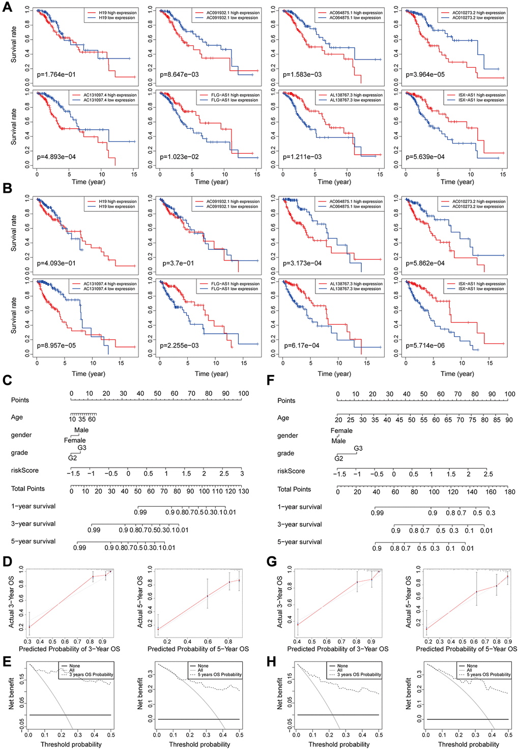 (A–B) Kaplan-Meier survival curves analysis for the eight genomic instability-associated lncRNAs using the training set (A) and validation set (B) of patients with low-grade glioma. (C–E) Nomograms for the eight genomic instability-associated lncRNAs for each factor in the training set, predictions of patient survival at 1, 3, and 5 years. Nomograms were evaluated using calibration curves and DCA curves. (F–H) Plot nomogram plots in the validation set and evaluation of nomograms using calibration curves and DCA curves.