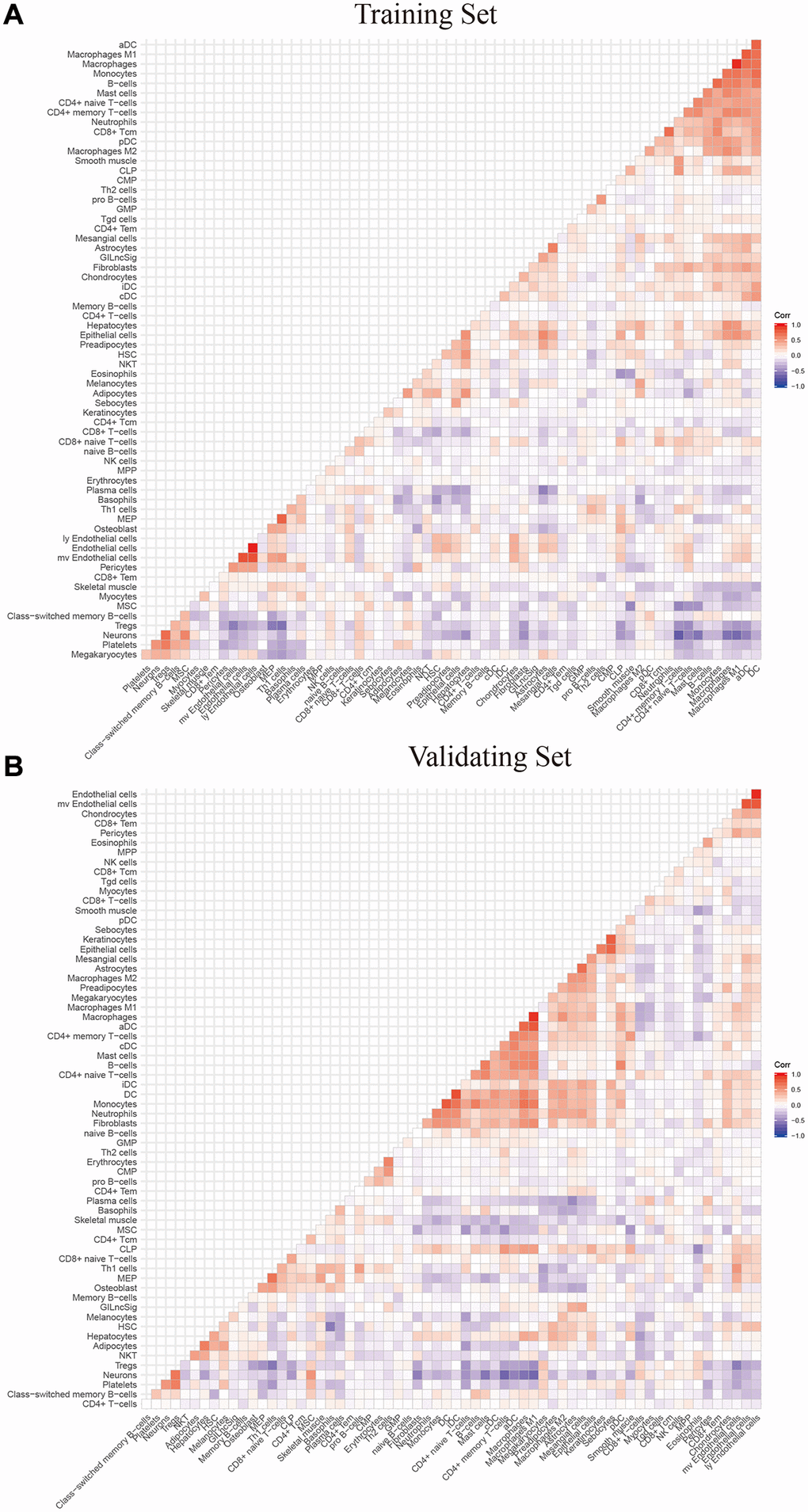 The correlation between GILngSig signature and 64 microenvironment infiltrating immune cells using xcell platform (A) training set (B) validation set.