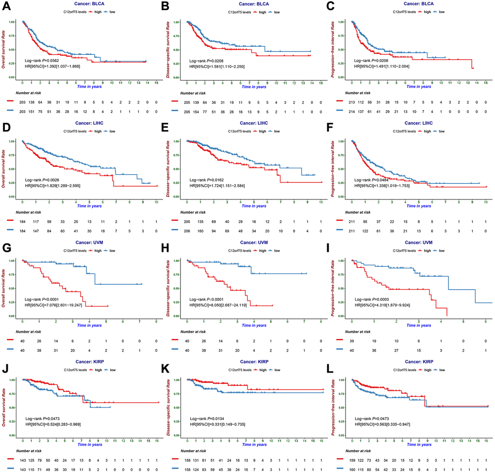 The prognostic information of the C12orf75 gene. (A) OS, (B) DSS, and (C) PFI survival curve of bladder urothelial carcinoma (BLCA); (D) OS, (E) DSS and (F) PFI survival curve of liver hepatocellular carcinoma (LIHC); (G) OS, (H) DSS and (I) PFI survival curve of uveal melanoma (UVM); (J) OS, (K) DSS and (L) PFI survival curve of kidney renal papillary cell carcinoma (KIRP); OS, overall survival; DSS, disease-specific survival; PFI, progression-free interval. P-values from the log-rank test. P-values were corrected using the Benjamini-Hochberg method. p 