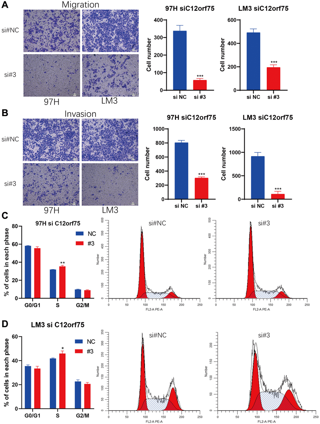 Knockdown of C12orf75 suppresses LIHC cell migration and invasion and arrests cell cycle.C12orf75 silencing suppresses cell migration (A) and invasion (B) of the 97H and LM3 (Scale bar: 200 μm.) and statistical comparisons of the indicated groups were performed. The data presented as mean ± SD from three independent experiments. Flow cytometry indicates that the knockdown of C12orf75 suppresses S to G2 transition in 97H (C) and LM3 (D) cells. *p **p ***p 