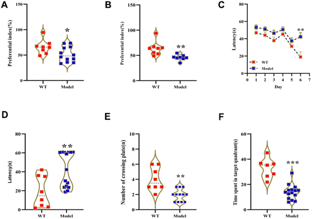 Prolonged administration of D-galactose induces learning and memory impairment in mice. (A, B) Novel object recognition test results show preferential index values for WT and model group mice after (A) 24 h training and (B) 1 h testing phase. (C–F) Morris water maze test results show (C) latency in learning phase, (D) latency in test phase, (E) number of plate crossings, and (F) time in the target quadrant for the WT and model group mice. Note: *p