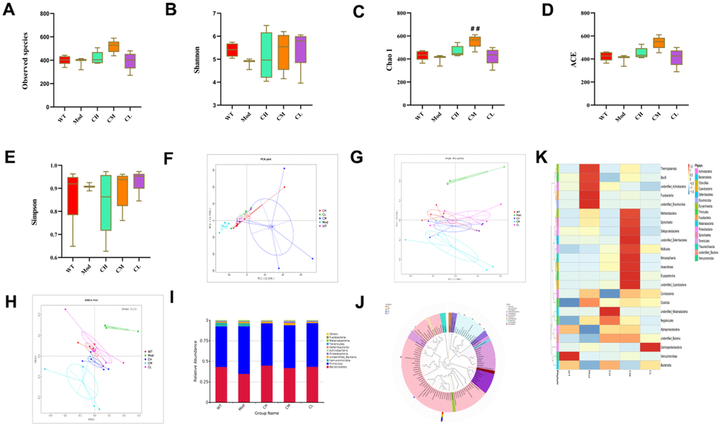 CDPS treatment restores gut microbial composition in the D-galactose-induced aging model mice. (A–E) The α diversity indexes of the gut flora in the feces of WT, Mod, and CDPS (CH, CM, and CL) group mice. (F–H) The β diversity indexes show differences in the gut microbial species between WT, Mod, CH, CM, and CL groups of mice. (I) The relative abundance of top10 gut bacterial phyla in the WT, Mod, CH, CM, and CL groups of mice. (J) The top 100 gut microbial genus in the WT, Mod, CH, CM, and CL groups of mice. (K) The heatmap shows differentially enriched gut microbiota in the WT, Mod, CH, CM, and CL groups of mice. Note: *p