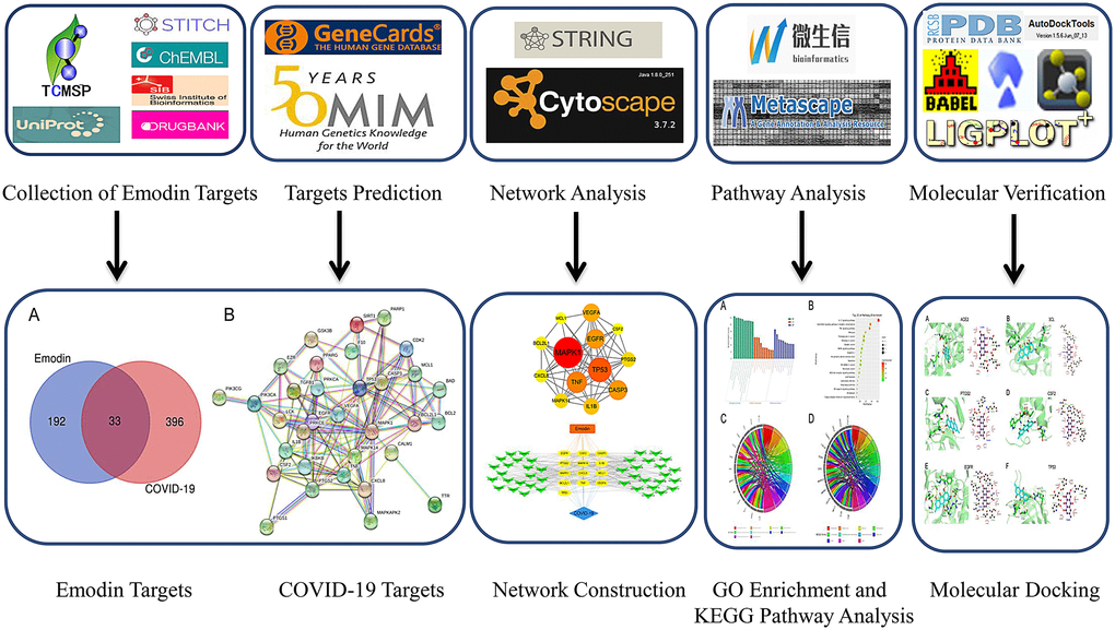 Flow diagram of network pharmacological research on emodin against COVID-19.