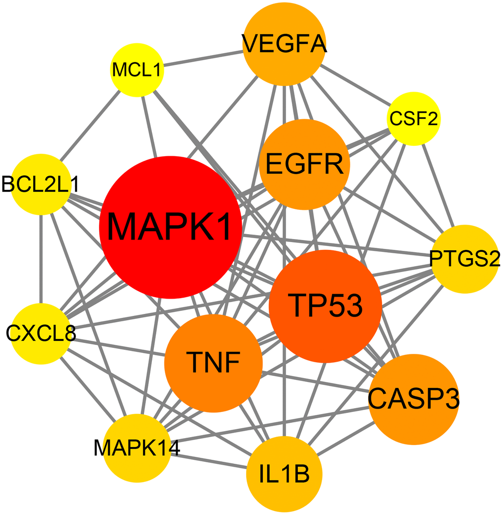 Network diagram of the core targets of emodin against COVID-19.