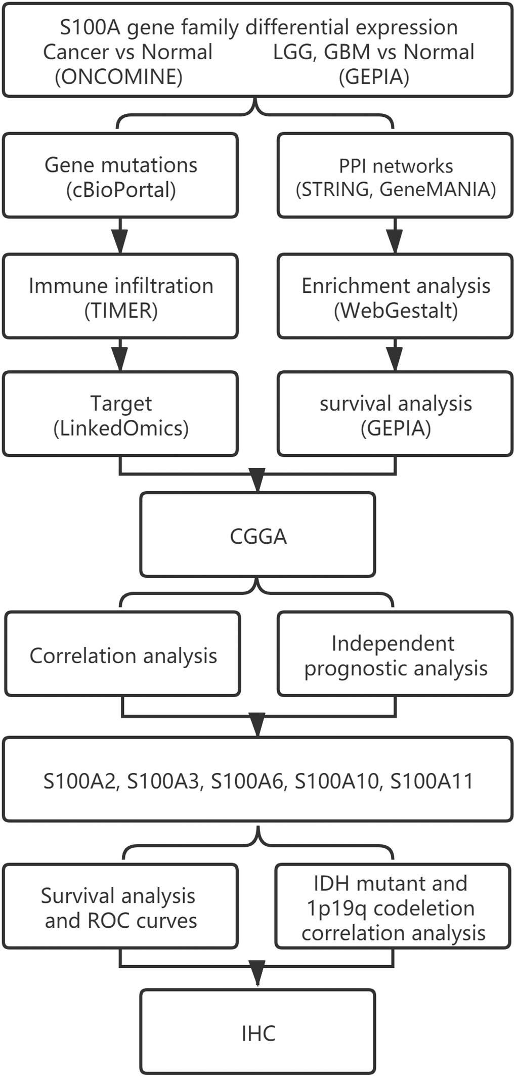 The workflow diagram of this study.