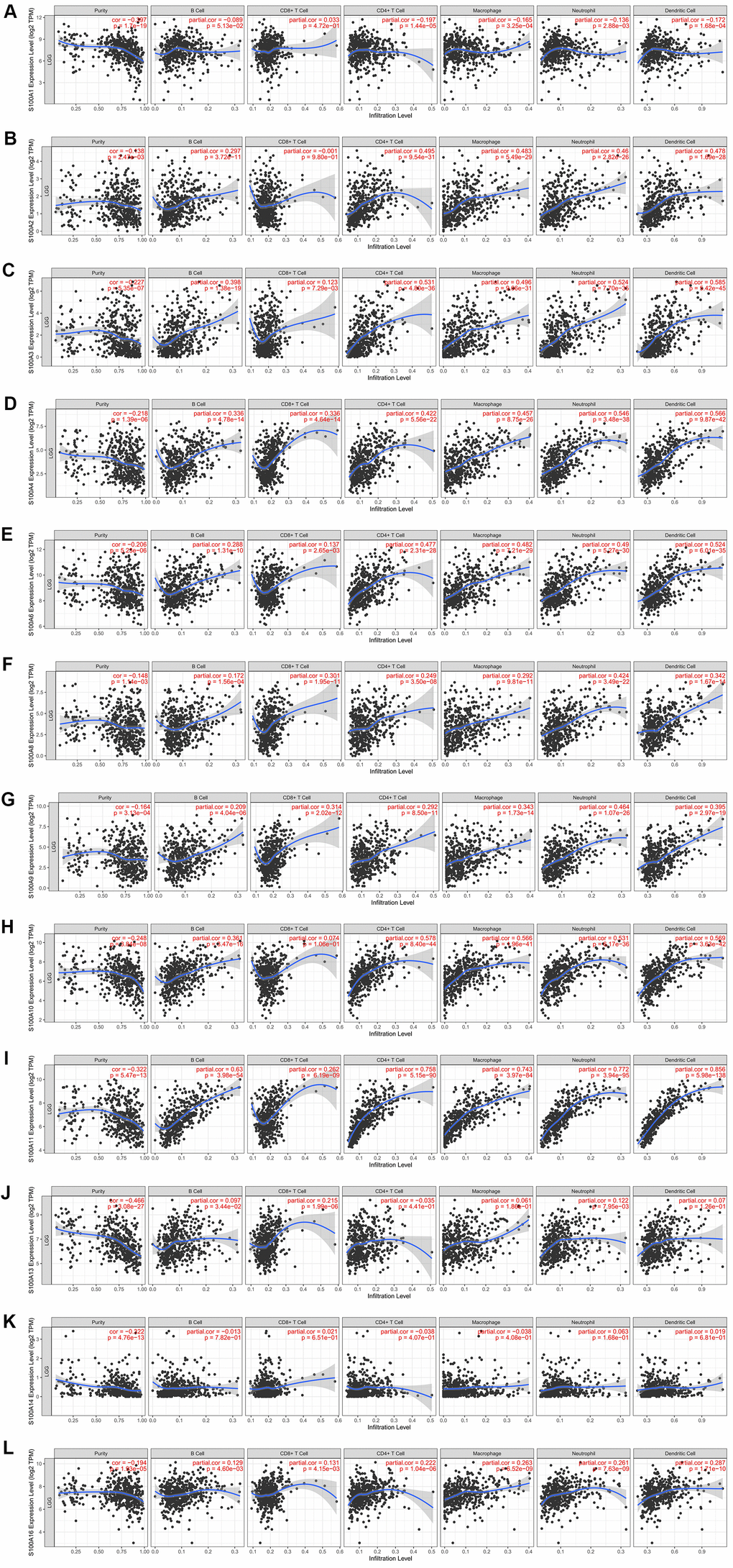 Immune cell infiltration of S100A family genes in LGG. (A) S100A1, (B) S100A2, (C) S100A3, (D) S100A4, (E) S100A6, (F) S100A8, (G) S100A9, (H) S100A10, (I) S100A11, (J) S100A13, (K) S100A14, (L) S100A16.