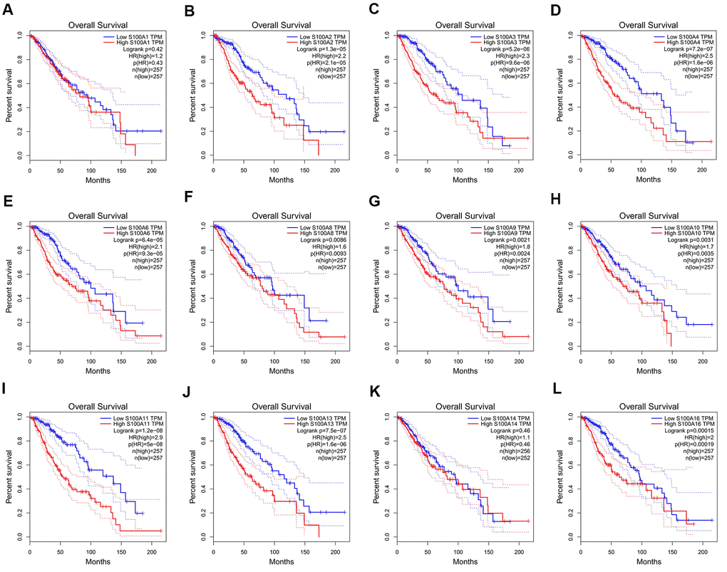 Relationship between the gene expression level of S100A family members and overall survival of LGG patients. (A) S100A1, (B) S100A2, (C) S100A3, (D) S100A4, (E) S100A6, (F) S100A8, (G) S100A9, (H) S100A10, (I) S100A11, (J) S100A13, (K) S100A14, (L) S100A16.