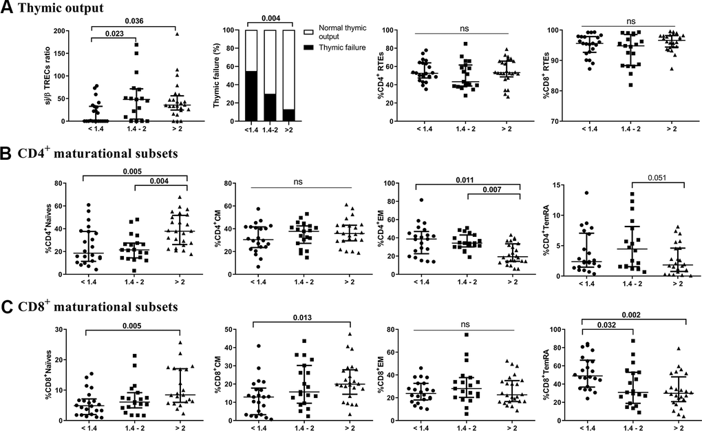 Characterization of thymic output (A) to the T-cell compartment and maturational subsets of CD4 (B) and CD8 (C) T-cells. The median and interquartile range (IQR) are shown. Categorical variables are expressed as the percentage of the number of cases. Subjects were classified according to a lower (1st tertile, nd tertile, 1.4-2), or higher (3rd tertile, >2) CD4/CD8 ratio. Variables with a p-value 