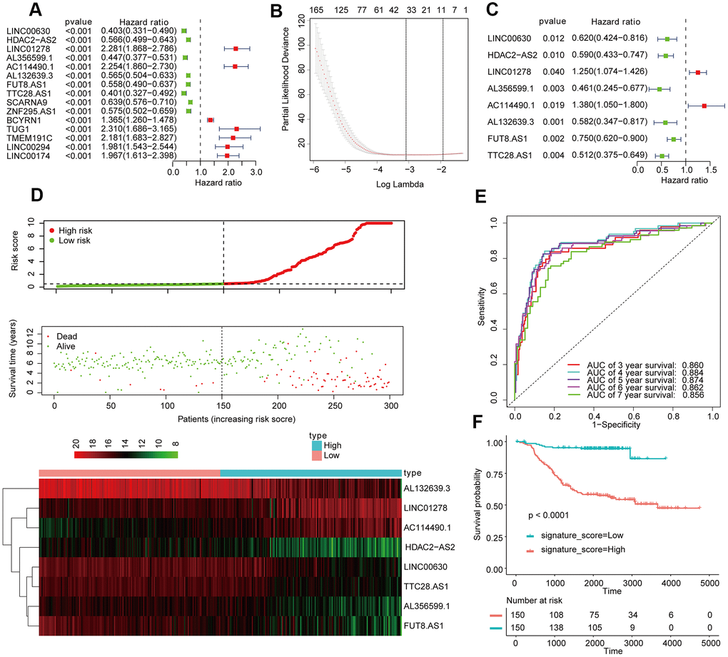 Establishment and validation of the eight-lncRNA prognostic signature. (A–C) The procedure for establishing the prognostic signature. (D) Correlation between the prognostic signature and the overall survival of patients in the TCGA cohort. The distribution of signature scores (upper), survival time (middle) and lncRNA expression levels (lower). The black dotted lines represent the median signature score cutoff dividing patients into low- and high-signature score groups. The red dots and lines represent the patients in the high-score groups. The green dots and lines represent the patients in the low-score groups. (E) ROC curve analyses based on the 8-lncRNA signature. (F) Kaplan-Meier curves of OS based on the 8-lncRNA signature.