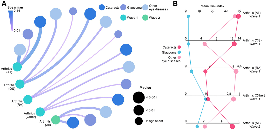 Contributions of eye diseases to arthritis. (A) Spearman coefficients quantified the correlations between various eye diseases and arthritis, including its subtypes. (B) Mean Gini-index calculated from random forest algorithm quantified the degree of contribution of each eye disease to arthritis.