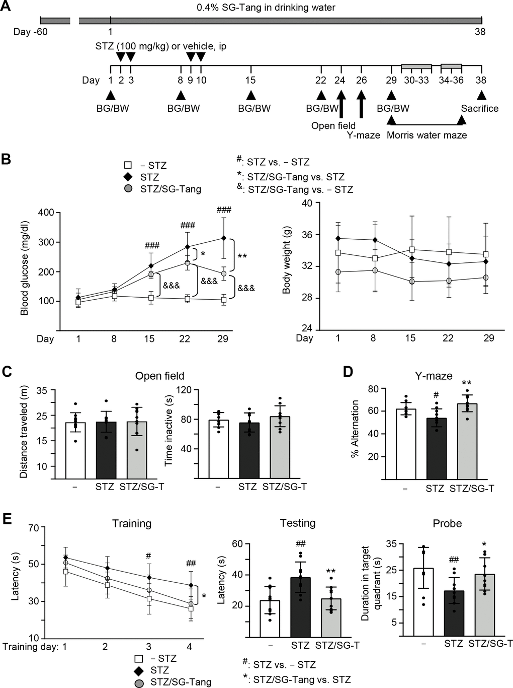 Cognitive improvement of SG-Tang in STZ-treated 3×Tg-AD mice. (A) Experimental flow chart. Mice received vehicle or SG-Tang (0.4% in drinking water) from day -60 to day 38. Blood glucose (BG) and body weight (BW) and were measured on days 1, 8, 15, 22 and 29. Mice were i.p. injected by streptozocin (STZ, 100 mg/kg) or vehicle (0.1 M sodium citrate pH4.5) at days 2, 3, 9 and 10. Open field, Y-maze and Morris water maze tasks were performed on days 24, 26 and 29–36, respectively. Mice in – STZ, STZ and STZ/SG-Tang groups (B–E) received vehicle, STZ and STZ+SG-Tang, respectively during the course of the experiment. (B) Body weight and blood glucose of the mice. (C) Open field measurement of motor activities (distance traveled) and anxious mood (time inactive) in 10 min of testing period. (D) Y-maze measurement of spontaneous alternation rate in 8 min of testing period. (E) Morris water maze testing of latency to find the hidden platform (latency) in training and testing and duration in target quadrant in probe trials. P values: comparisons between STZ vs. – STZ mice (#: P ##: P ###: P P P &&&: P post hoc Tukey test).