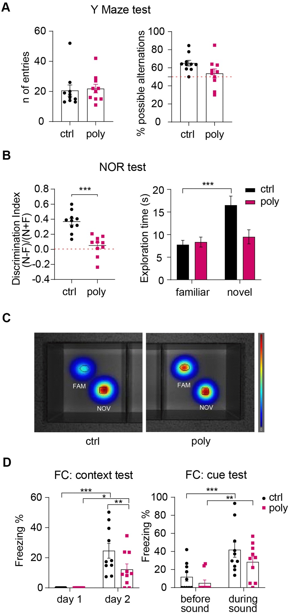 Outcomes of cognitive tests: polypharmacy treatment impaired non-spatial memory. (A) Number of entries and percentage of spontaneous alternations performed by control and polypharmacy mice in the Y Maze test. (B) NOR test, day 3: the dot plots express the discrimination index (a score above 0 indicates that the mice explored the novel object more than the familiar one). *pC) The heatmaps visually represent day 3 of NOR test and specifically the area explored around the objects by the animals, showing that only in control group there is a clear preference for the novel object compared to the familiar (in red color the most visited areas). Fam and Nov = familiar and novel object respectively. (D) Contextual and cue FC test: the graph on the left shows the percentage of freezing time measured on day 1 (habituation phase) vs day 2 (context test); the graph on the right expresses the freezing percentage measured before vs during the cue stimulus (sound). *p