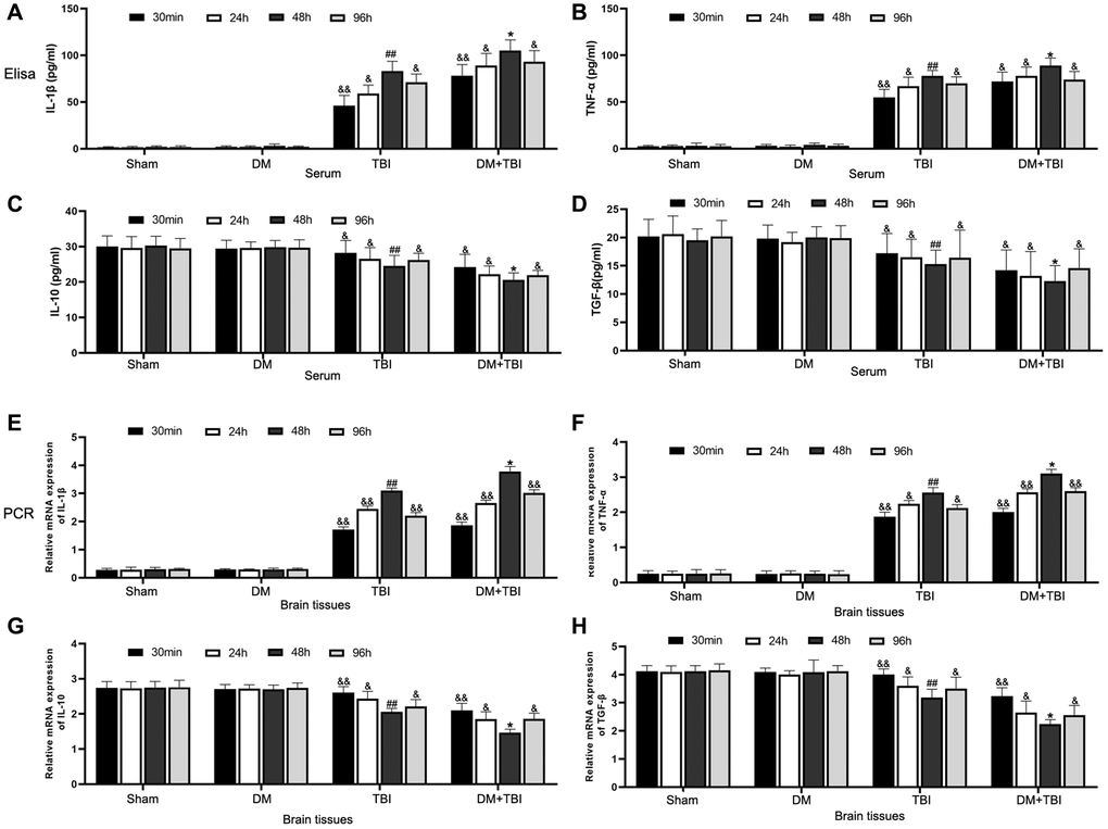 Hyperglycemia upregulated pro-inflammatory and downregulated anti-inflammatory factors. (A) Serum IL-1β. (B) Serum TNF-α. (C) Serum IL-10. (D) Serum TGF-β. (E) Hippocampal IL-1β mRNA. (F) Hippocampal TNF-α mRNA. (G) Hippocampal IL-10 mRNA. (H) Hippocampal TGF-β mRNA. β-actin mRNA expression was used as the qRT-PCR control. All data are presented as the mean ± standard error (n = 8 per group). Statistical significance was determined using one-way ANOVA followed by post-hoc Bonferroni correction. &P &&P #P ##P *P **P 