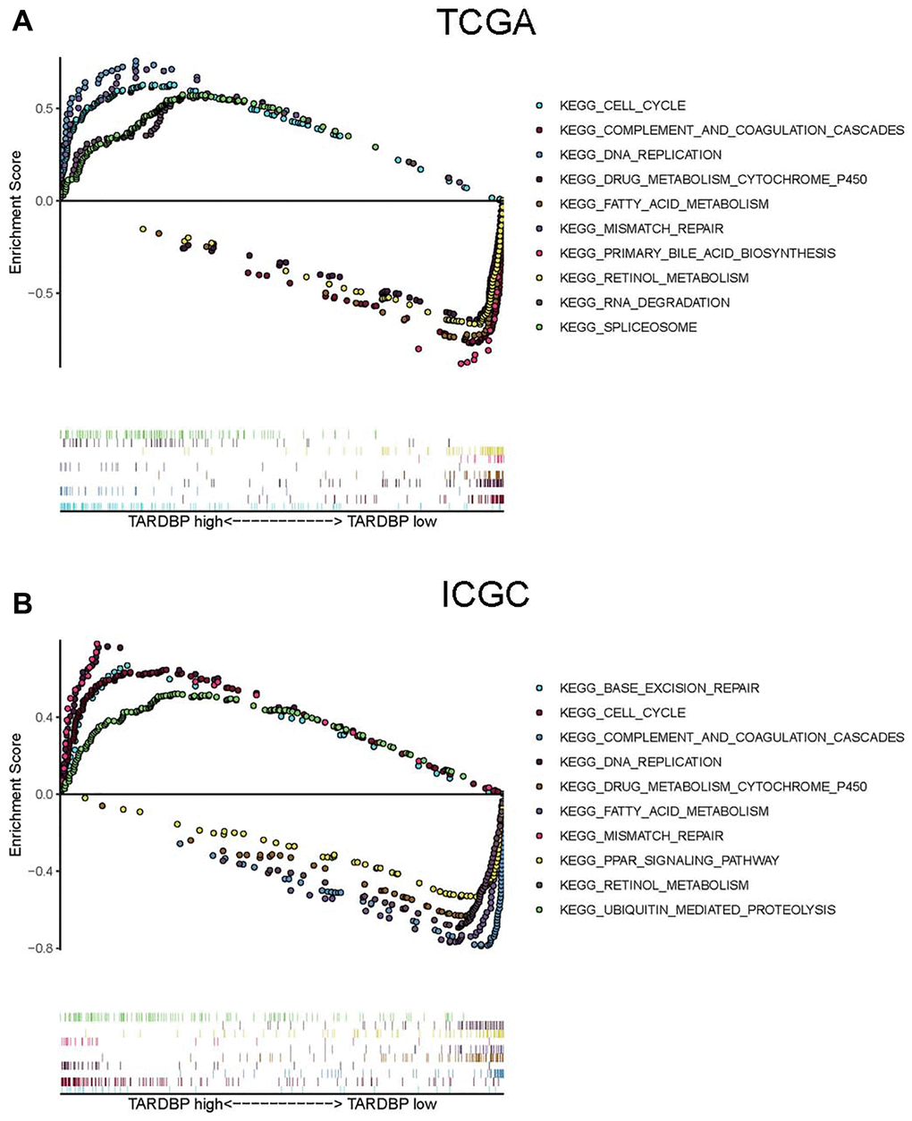 GSEA of HCC cases with TARDBP low- and high-expression in TCGA (A) or ICGC (B) projects.