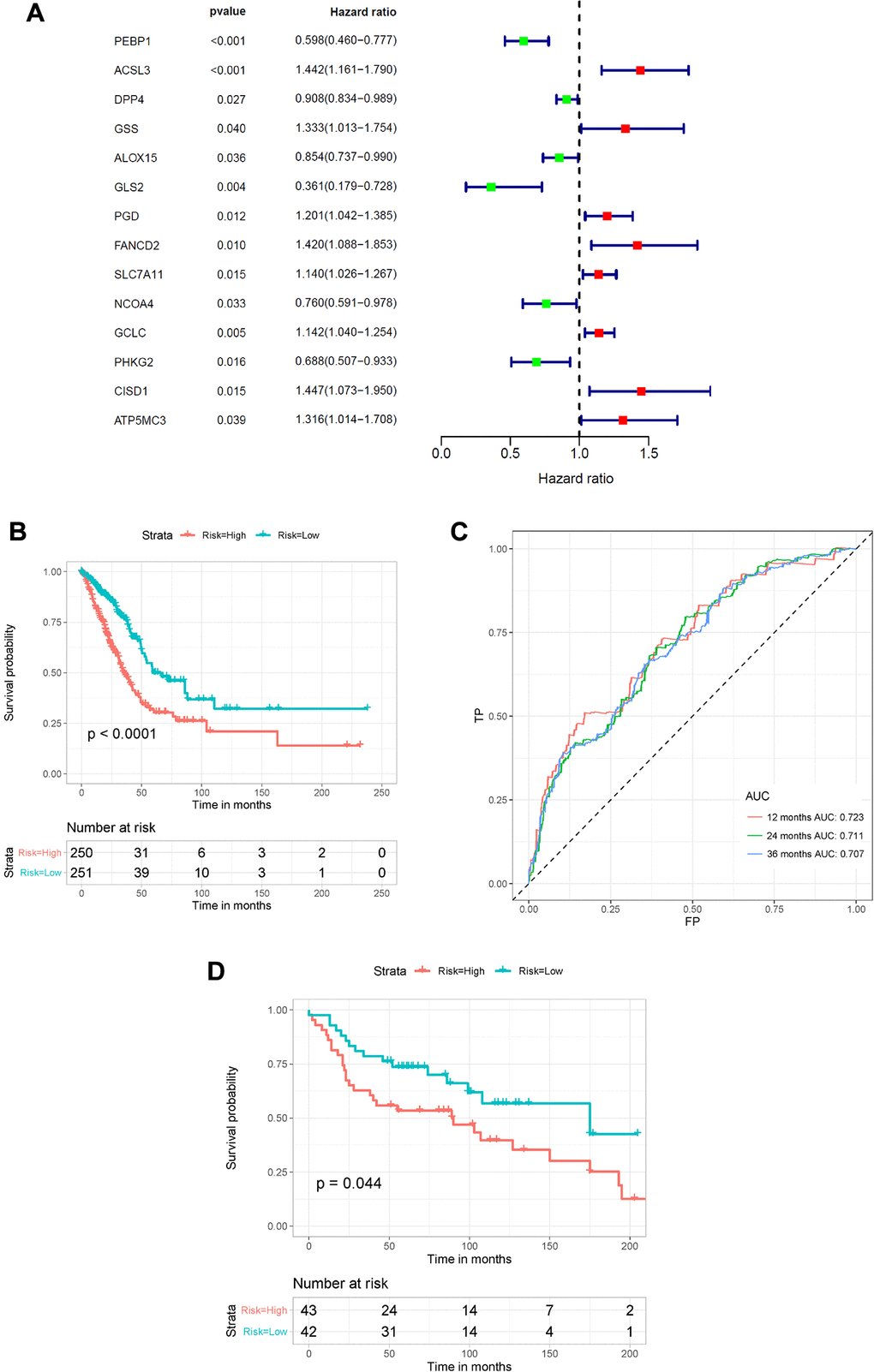 Construction of the FRG-based survival model for prognostic prediction of LUAD. (A) Univariate Cox regression analysis showing the hazard ratios (HRs) with 95% confidence intervals (CIs) and p values for 14 FRGs. (B) Kaplan–Meier survival curves showing the overall survival of high- and low-risk LUAD patients divided according to the risk score calculated using the new survival model based on the expression of 5 FRGs. (C) ROC curve analysis showing the prognostic prediction efficiency of the new survival model. (D) Kaplan–Meier survival curves analysis of the GSE30219 cohort.