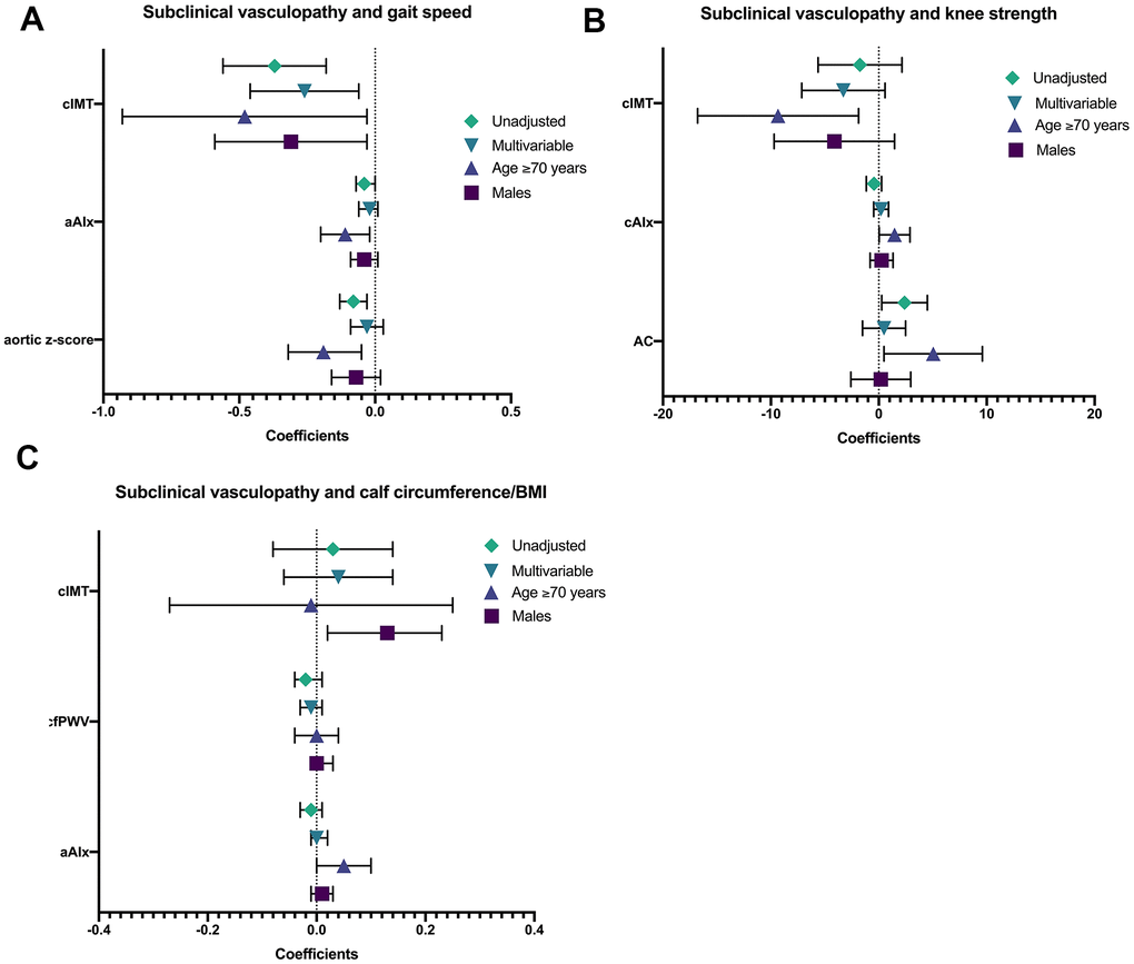 shows the univariate, multivariable, age- (≥70) and sex-stratified (males) associations between subclinical vasculopathy with (A) gait speed, (B) knee strength, and (C) calf circumference/BMI. *AC calculated using derived central aortic pressures. Abbreviations: Calf circumference/BMI, calf circumference adjusted for body mass index; cIMT, carotid intima-medial thickness; aAIx, aortic augmentation index; cAIx, carotid augmentation index; AC, arterial compliance.