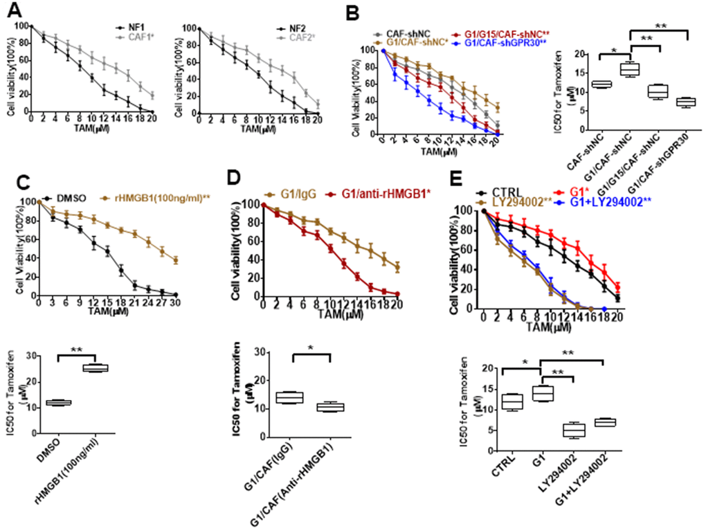 Resistance to TAM is positively associated with HMGB1 elevation. (A, B) CCK8 detection of the viability of MCF-7 cells cultured with CM from immortalized cells and CM from CAF-shGPR30 cells pretreated with G1 or TAM in the presence or absence of G15 for 24 h. *P C) recombinant HMGB1, (D) anti-rHMGB1, and (E) LY294002. (*P 