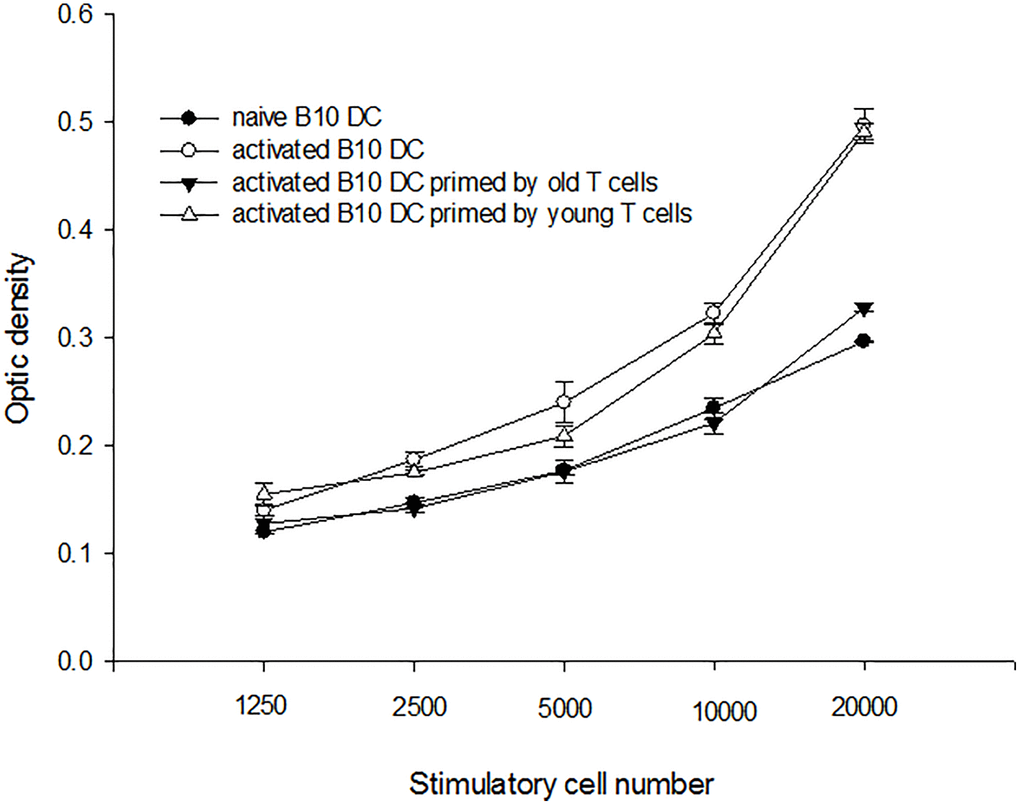 A representative mixed lymphocyte reaction of indirect antigen presentation. B10 DC was pulsed with C3H splenocyte lysate overnight and used as stimulators to activate B10 enriched T-cells. The result showed that the proliferating capacities of T-cells from aged were lower than those of T-cells from young mice (0.328 ± 0.004 O.D. versus 0.491 ± 0.008 O.D. at responders/stimulatory cells = 100/1, p = 0.001).