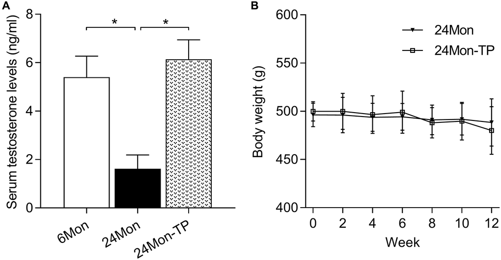 Serum testosterone levels and body weight measurements. (A) Serum testosterone levels recorded in the experimental animal groups. (B) Summary of body weight measurements. Data are expressed as the mean ± S.D. (n = 8/group). *P 