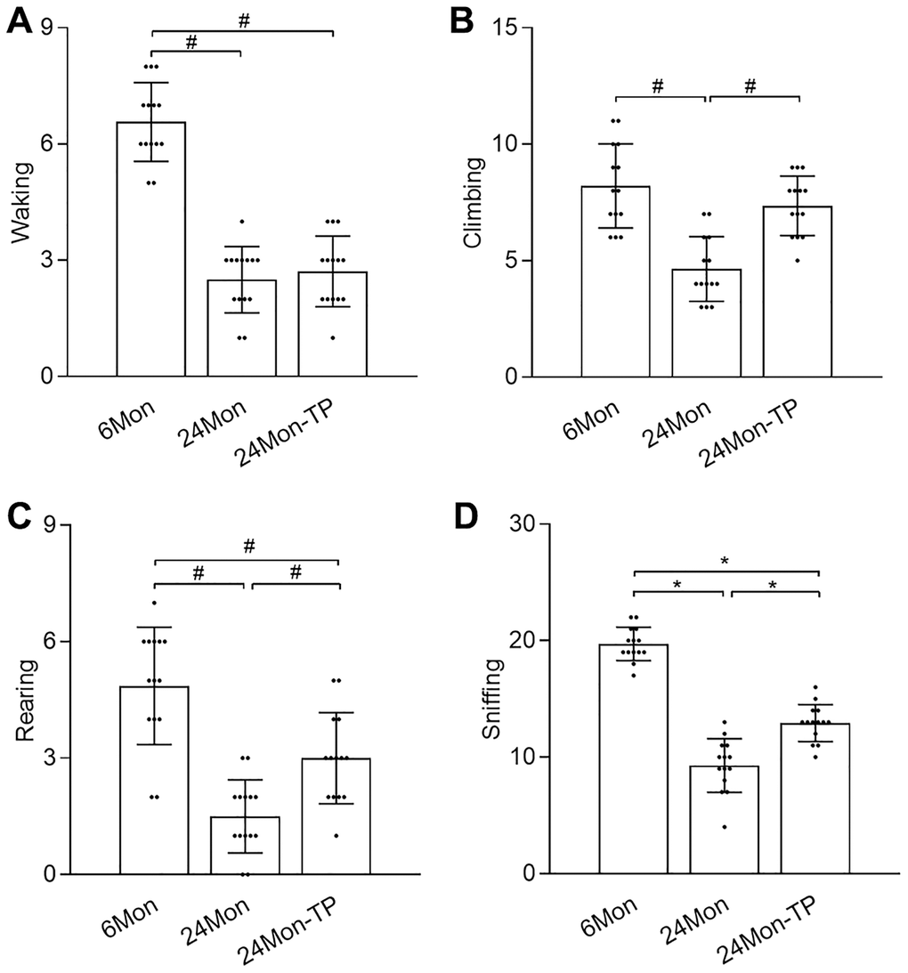 TP supplementation ameliorates exploratory behavior deficits in aged male rats. Open field test results for (A) walking, (B) climbing, (C) rearing, and (D) sniffing. Data are expressed as the mean ± S.D. (n = 14/group). *P #P U test, Bonferroni correction).