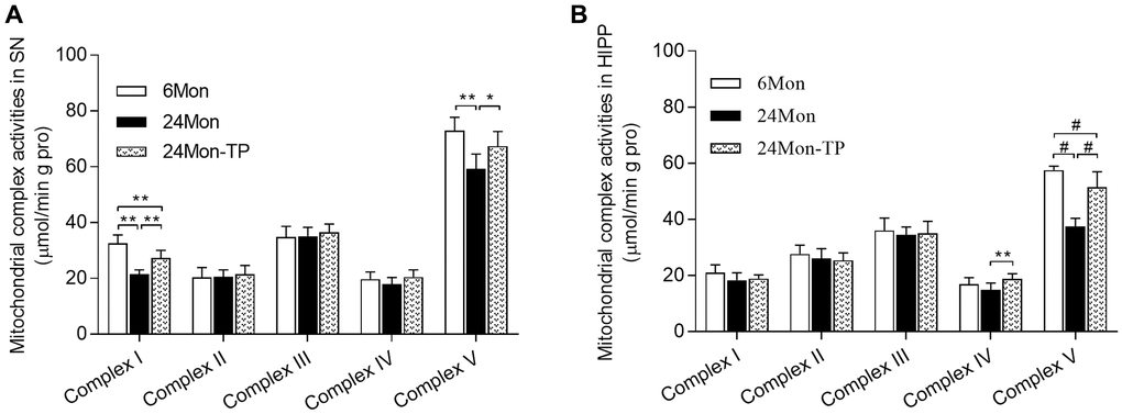 TP supplementation stimulates mitochondrial respiratory complex activities in the SN and HIPP of aged male rats. (A) Estimations of mitochondrial complexes I and V activities in the SN. (B) Estimations of mitochondrial complexes IV and V activities in the HIPP of aged male rats. Data are expressed as the mean ± S.D. (n = 8/group). *P **P #P U test, Bonferroni correction).