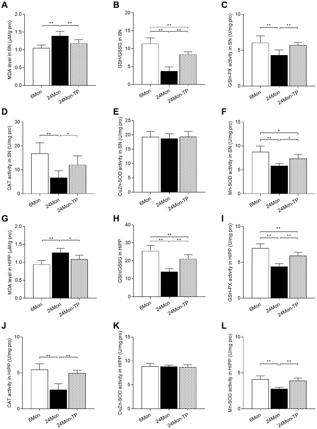TP supplementation enhances antioxidative potential in the SN and HIPP of aged male rats. (A) MDA levels, (B) GSH/GSSG ratio, (C) GSH-PX activity, (D) CAT activity, (E) CuZn-SOD activity, and (F) Mn-SOD activity in the SN. (G) MDA levels, (H) GSH/GSSG ratio, (I) GSH-PX activity, (J) CAT activity, (K) CuZn-SOD activity, and (L) Mn-SOD activity in the HIPP. Data are expressed as the mean ± S.D. (n = 8/group). *P **P 