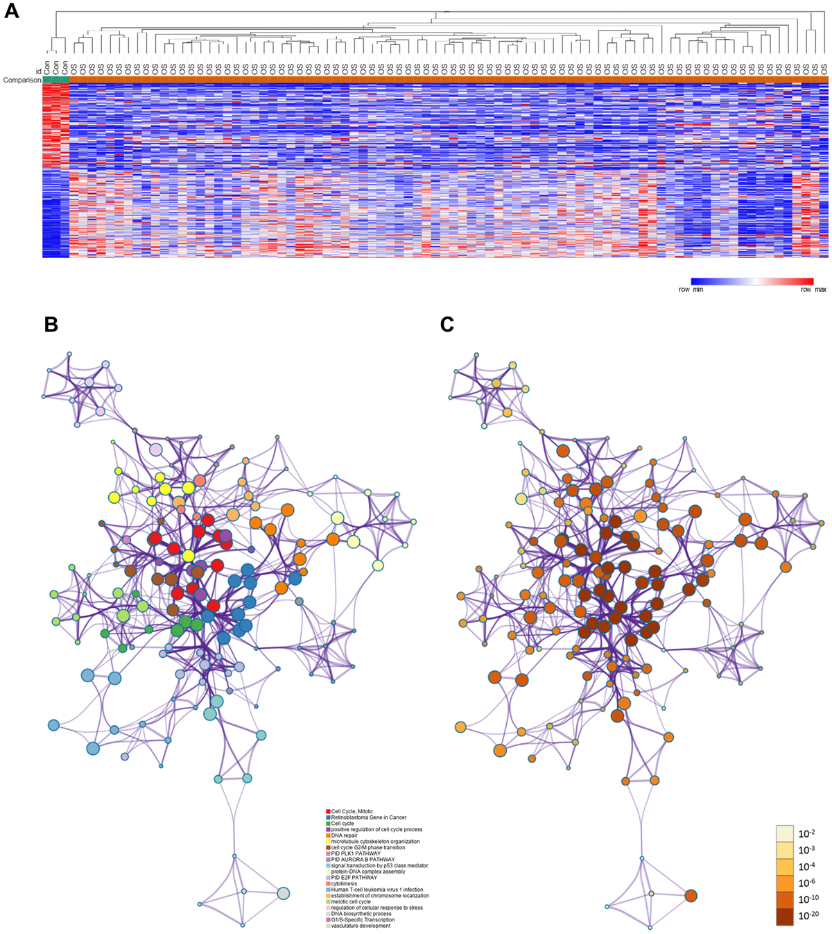 DEGs between osteosarcoma and normal tissues. (A) Heat map of the DEGs in GSE42352. (B) DEGs colored by cluster ID. DEGs in the same cluster ID nodes are closely related to each other. (C) DEGs colored by P-value. Terms with more significant P-values contain more genes.