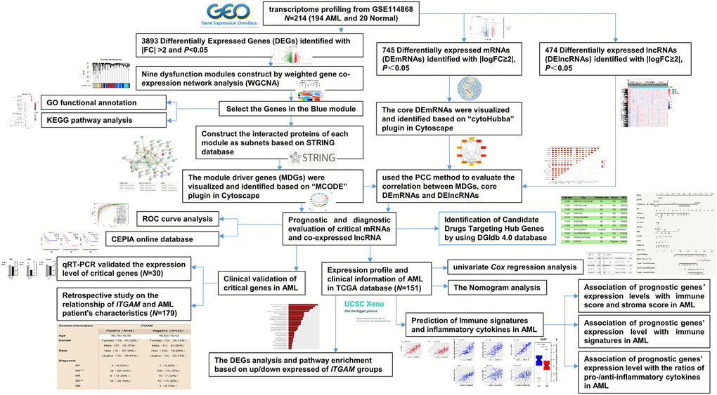 The overall analysis process of the present study.