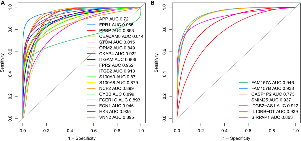 Weights of the key mRNAs and co-expressed DElncRNAs were determined by the AUC values of the ROC curves in AML. (A) ROC analysis revealed that the AUC for 18 mRNAs was ≥ 0.7; (B) ROC curve analysis shows that the AUC for 7 co-expressed DElncRNAs was also ≥ 0.7. Abbreviations: ROC: receiver operating characteristic; AUC: area under the curve; DElncRNAs: differentially expressed lncRNAs.