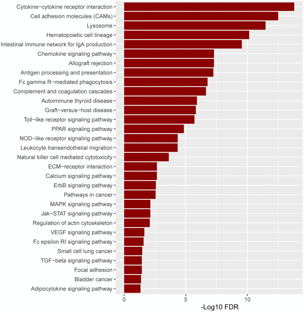 The pathway enrichment in the high versus low ITGAM expression group is based on the TCGA-LAML expression profiles. The significant enriched KEGG pathways were confirmed as an enrichment when FDR 