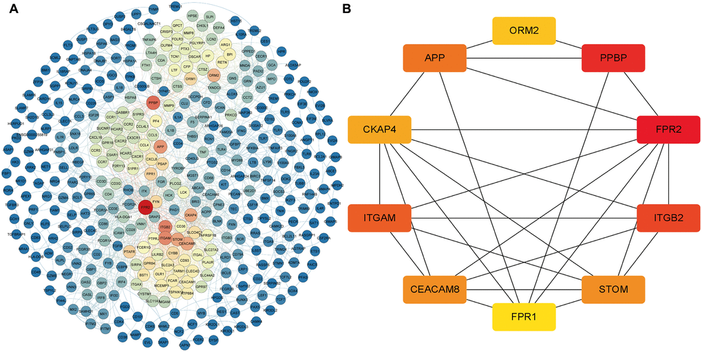 The core DEmRNAs identified in the PPI network. (A) The darker the color (red) of the genes, the higher degree of contribution in the PPI network; (B) The darker color (red) of the DEmRNA represents the gene with a higher degree. Abbreviations: DEmRNAs, differentially expressed lncRNAs. PPI: protein-protein interaction.