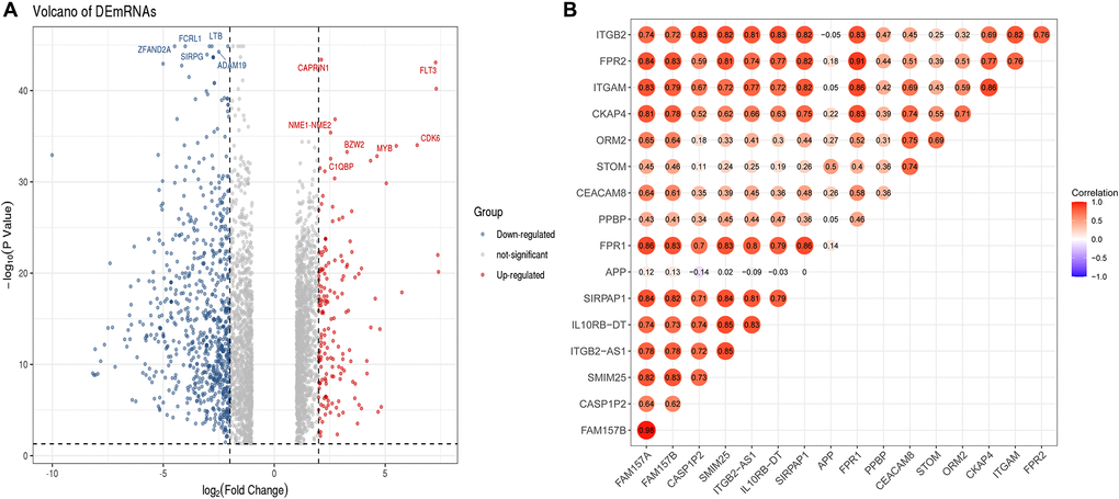 Identification of DElncRNAs and the co-relationship of core DEmRNAs and DElncRNAs. (A) In the volcano plot of the DElncRNAs, red dots are up-regulated lncRNAs, blue is down-regulated, and grey is no different; (B) The expression relevance of DEmRNAs and DElncRNAs. The darker the color (red) of the circle, the stronger the correlation. Abbreviations: DEmRNAs: differentially expressed mRNAs; DElncRNAs: differentially expressed lncRNAs.