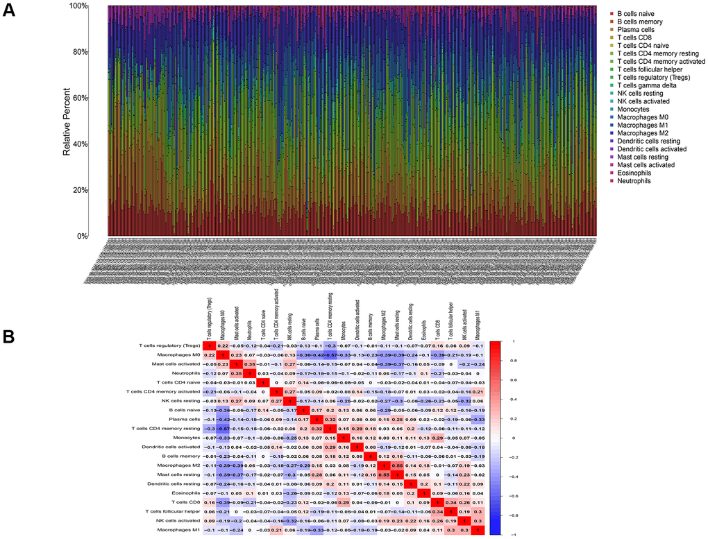 Infiltration of immune cells in colon cancer. (A) The proportion of immune cells in each colon cancer sample. (B) Co-expression of immune cells in colon cancer.