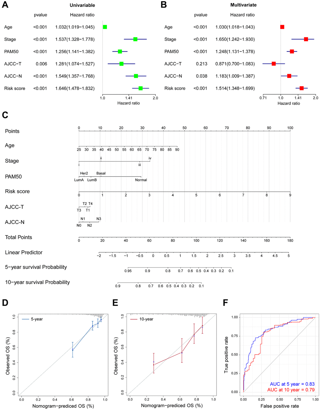 Prognostic nomogram for predicting survival in TCGA-BRCA patients. (A–B) The correlations of the OS risk score and clinical variables by Univariate (A) and Multivariate (B) Cox regression. (C) Prognostic nomogram with certain characteristics in TCGA-BRCA patients. (D–E) The prediction of 5- (D) and 10-year (E) survival by calibration curves. x-axis, predicted OS; y-axis, observed OS; the solid line, predicted nomogram; the vertical bars, 95% confidence interval. (F) Time-ROC curves for the combination of age, stage, PAM50, T, N and risk score.