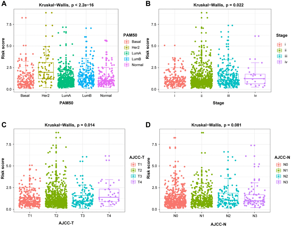 The relationship between the risk score and clinicopathological variables. Clinicopathological significance of the prognostic index of BRCA. (A) PAM50. (B) Stage. (C) T stage. (D) N stage.