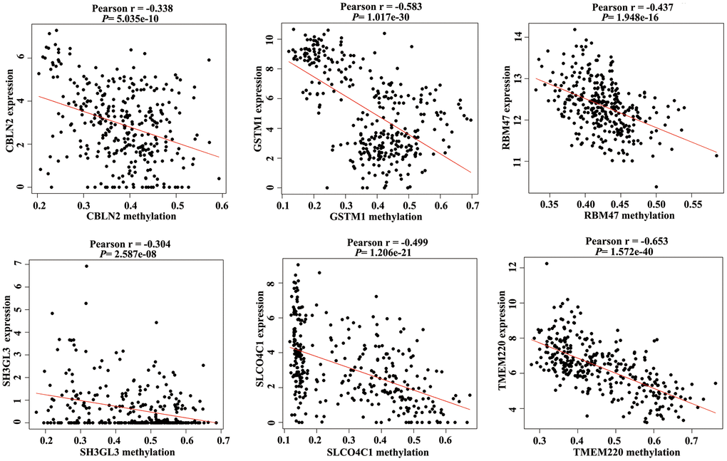 Correlation between the expression value and methylation value of the methylation-driven genes (MDGs) in colon adenocarcinoma (COAD) tissues.