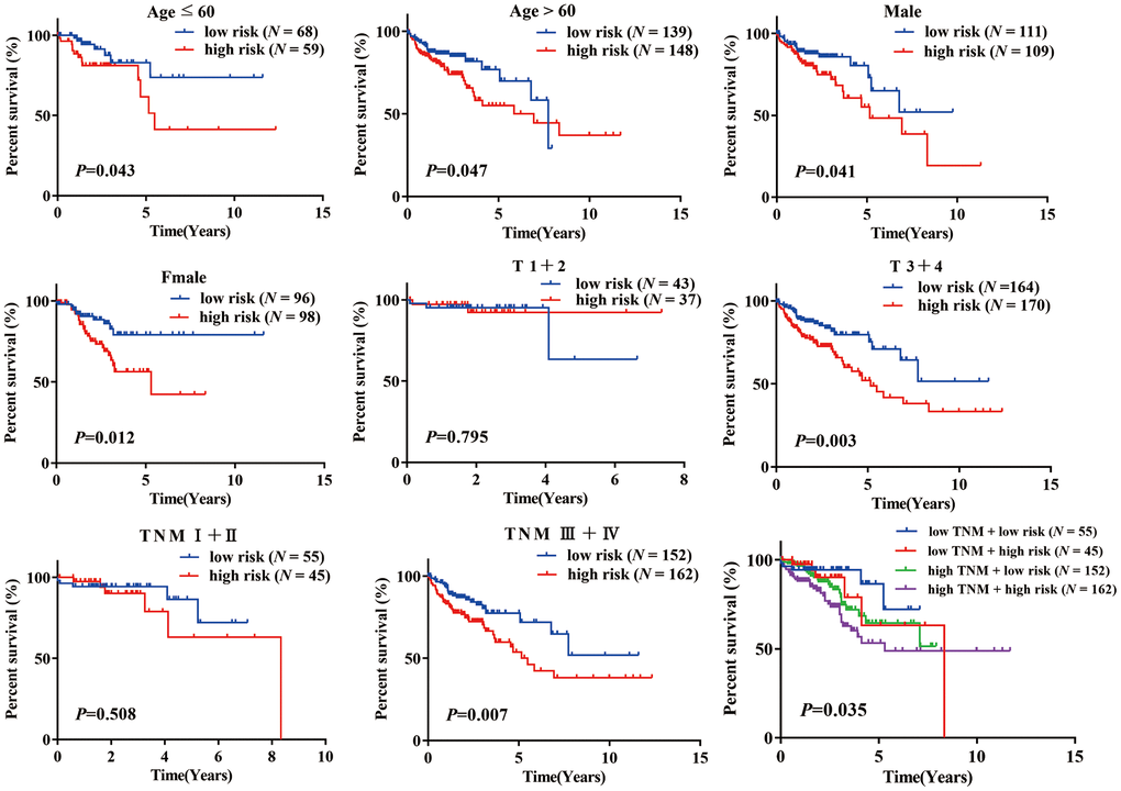 K-M analysis of overall survival (OS) for patients stratified by age, gender, T stage, and TNM stage.
