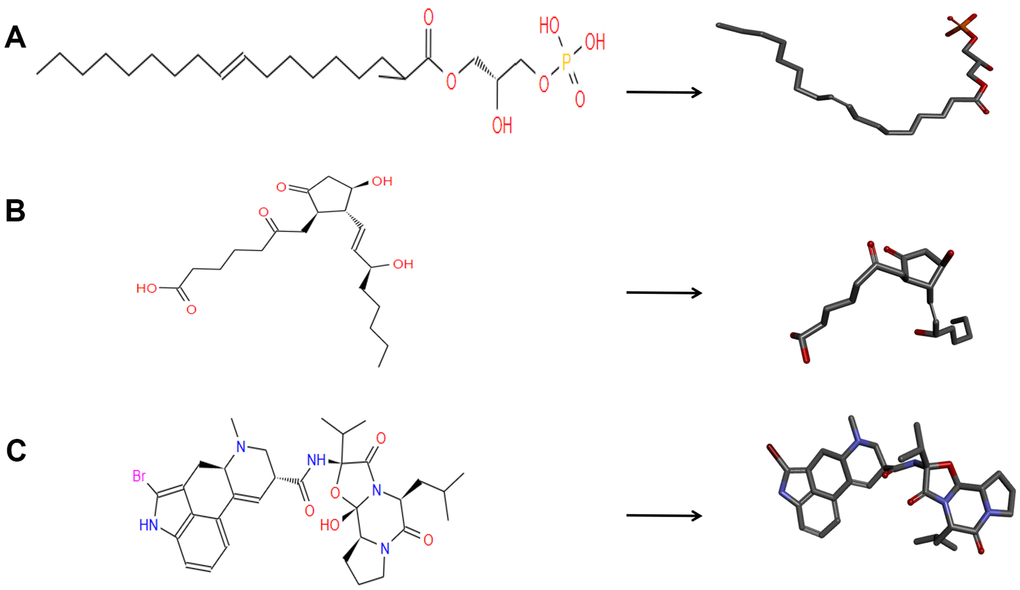 The 2D structures of bromocriptine and novel compounds selected from virtual screening by chemdraw. And 3D structures of Bromocriptine and novel compounds selected from virtual screening by DS 4.5. (A) ZINC000008860530; (B) ZINC000004096987; (C) Bromocriptine.