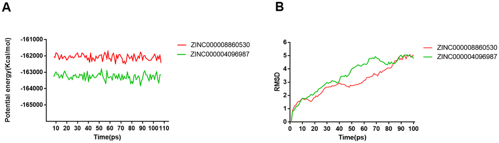 Results of molecular dynamics simulation of two complexes. (A) Potential Energy; (B) Average backbone RMSD.