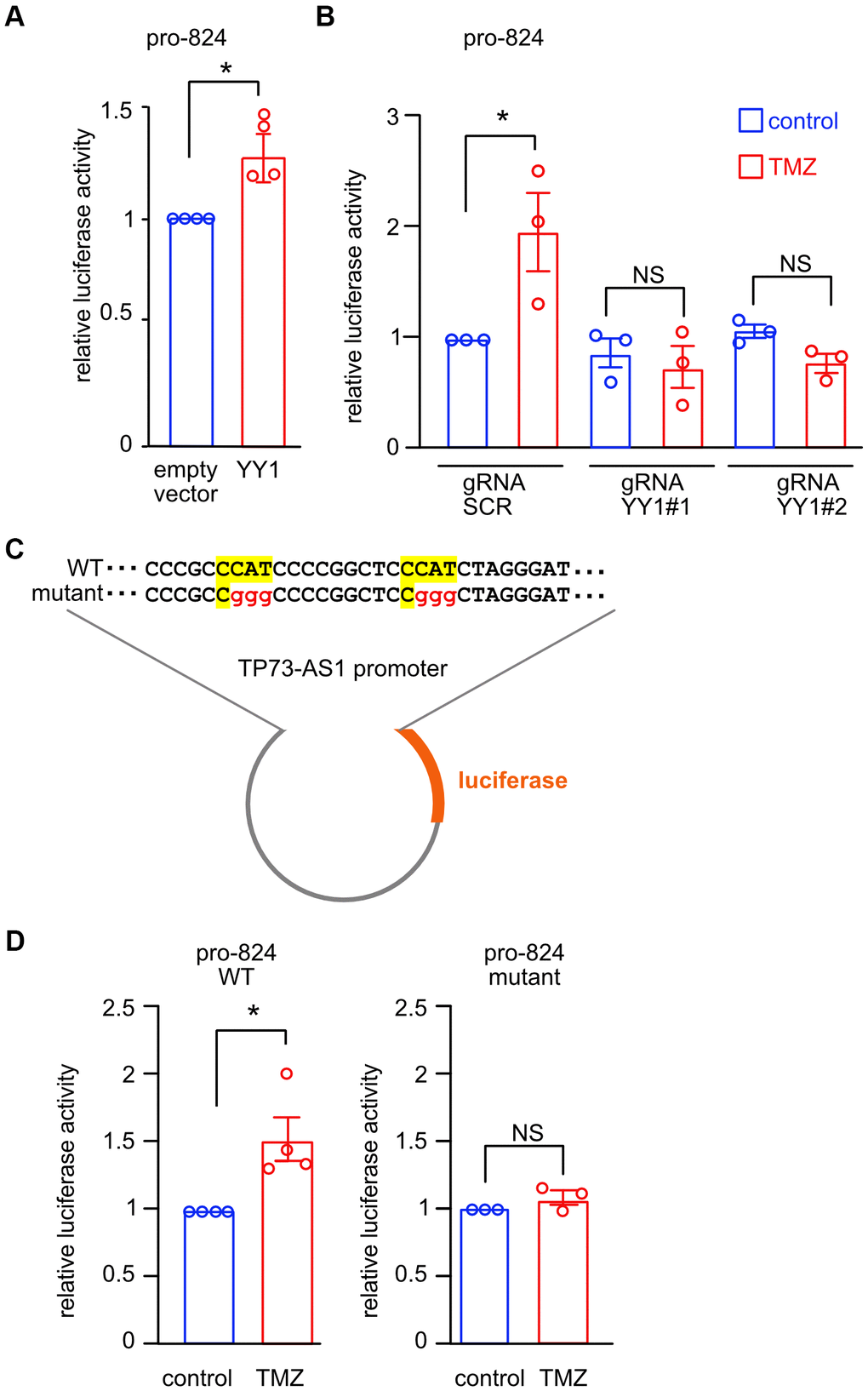 YY1 directly promotes TP73-AS1 promoter activation. (A) The indicated promoter activity was measured in SHY5Y cells over expressing YY1 or empty vector. * pB) CRISPRi SHY5Y cells were treated with DOX for 10 days to induce YY1 KD. Cells were treated with TMZ (750 μM for 48 hours). The activity of TP73-AS1-promoter-824 was measured using the dual luciferase assay. * pC) Schematic representation of the WT or mutant YY1 binding sites within the TP73-AS1 promoter luciferase construct. (D) SHY5Y cells expressing WT or mutant promoter were treated with TMZ or DMSO control for 48 hours after which promoter activity was measured using dual luciferase assay. * p