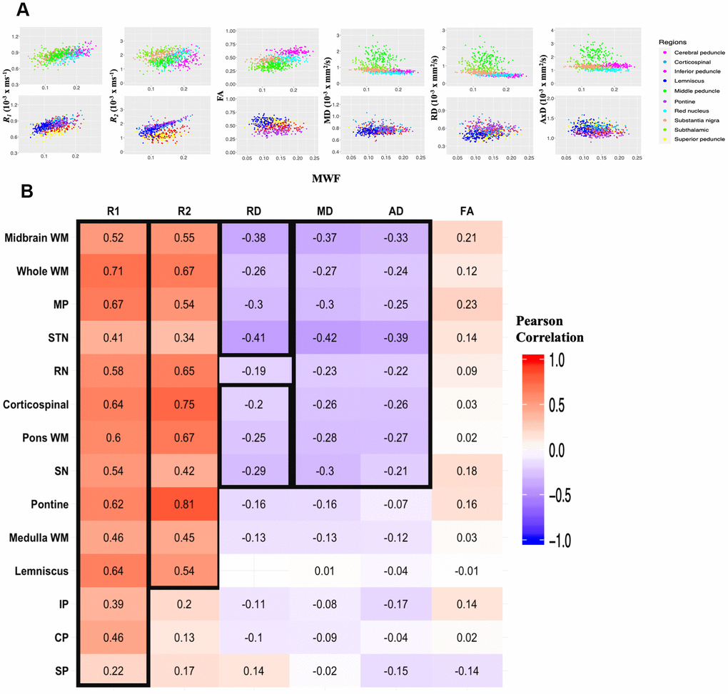 Regional correlations between MWF and relaxation rates or DTI indices. (A) Scatter plots illustrating the association between quantitative MRI measures and MWF across the 10 independent ROIs. Plots were split into 5 ROIs each for optimal visualization of the correlation trends between parameters. ROIs are indicated by different colors, matching those of Figure 5. Each participant is represented by a single dot. Pearson correlation analysis was conducted with results shown in Table 3. R1, R2 and FA exhibit a positive correlation with MWF while MD, RD, and AD are negatively correlated with MWF. (B) Correlational matrix providing the linear correlation coefficients values of each parameters against MWF for each ROI. Cell values in a black box represent Pearson correlation coefficients that were statistically significant after FDR (p R2 values across all metrics. Similarly, the parameters themselves are ranked in descending order of mean R2 values across all ROIs. MP, middle cerebellar peduncle; STN, subthalamic nucleus; RN, red nucleus; SN, substantia nigra; IP, inferior cerebellar peduncle; CP, cerebral peduncle; SP, superior cerebellar peduncle.