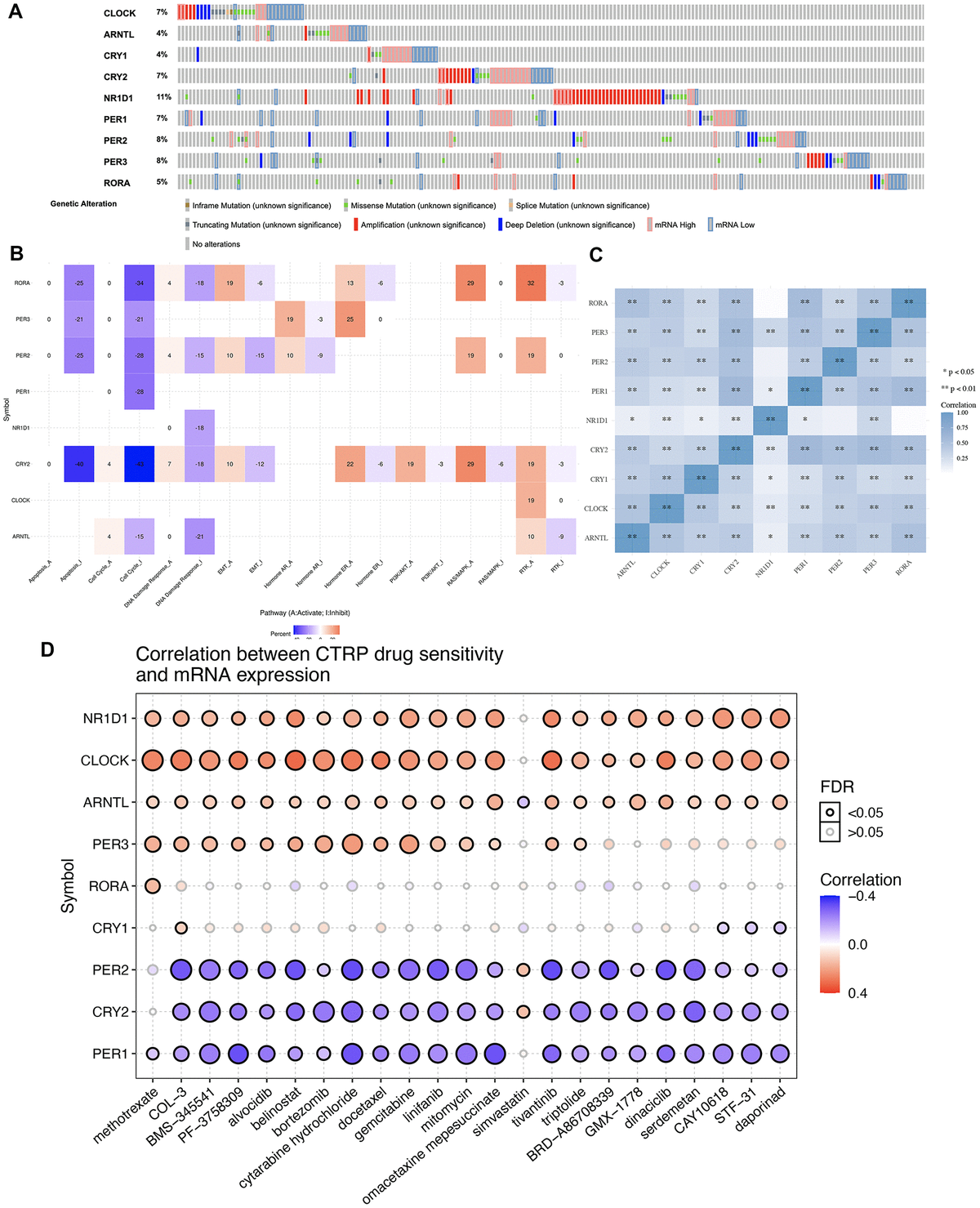 Genetic mutation landscape and drug sensitivity analysis of core circadian clock genes in STAD. (A) Oncoplot displaying genetic mutation landscape of core circadian clock genes in TCGA STAD cohort. (B) the role of circadian clock genes in the famous cancer related pathways. (C) A heat map of the correlation between each member of core circadian clock genes. (D) the correlation between core circadian clock genes and drug or small molecules. The Spearman correlation represent the core circadian clock genes expression correlates with the drug. The positive correlation means that the gene high expression is resistant to the drug, vise verse. *p **p 